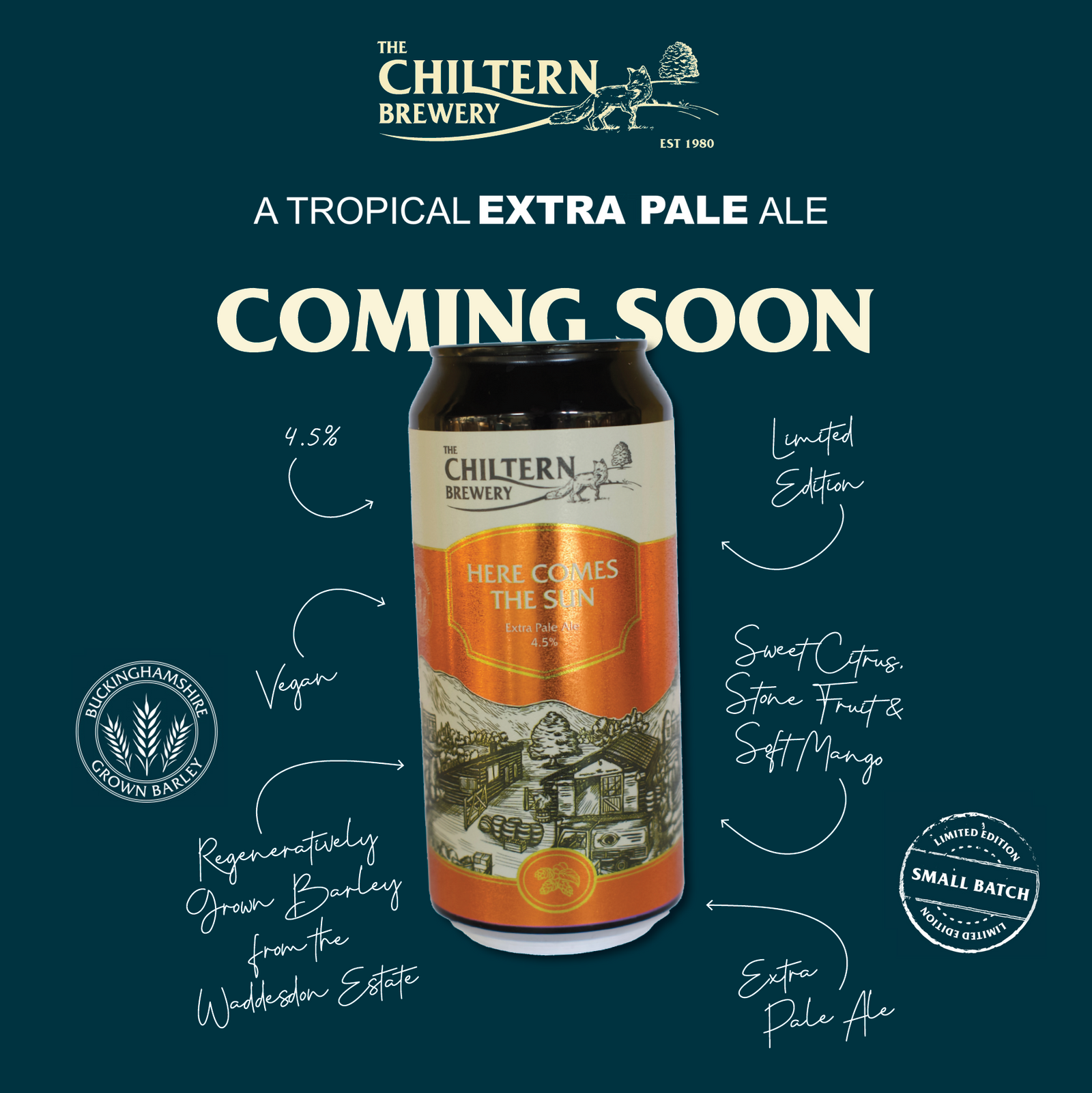 Here Comes The Sun - 440ml Can Single