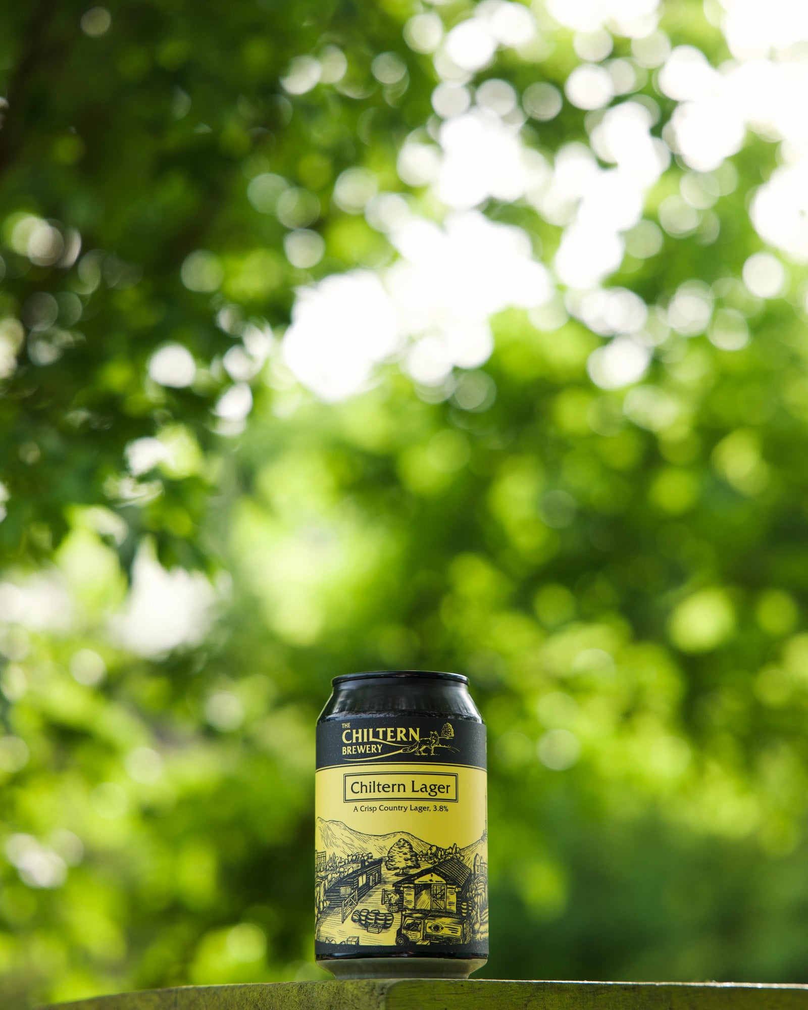 Chiltern Lager 330ml Can Singles