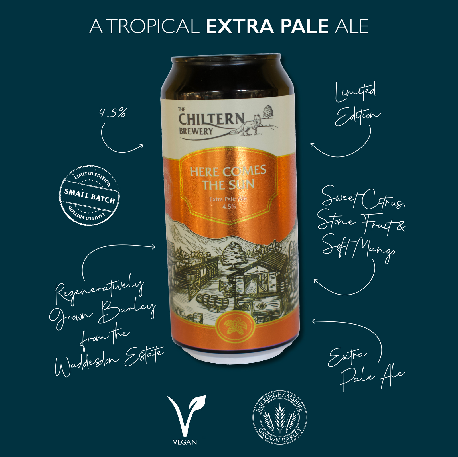Here Comes The Sun - 440ml Can Single